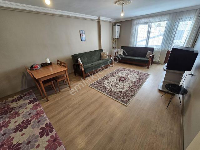 Düzce Merkez, Düzce içerisinde kiralık mülk