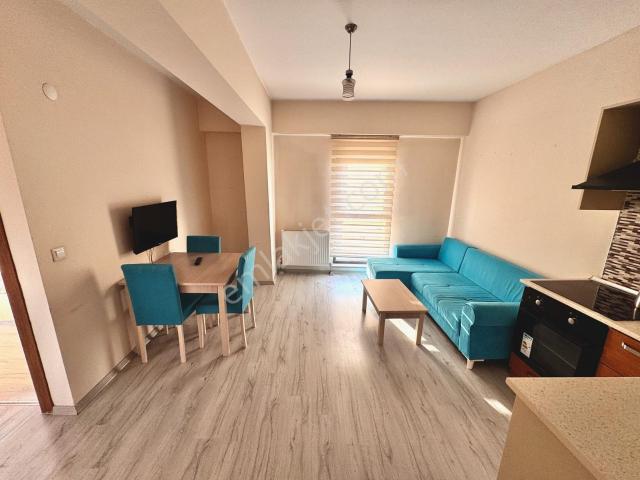 Düzce Merkez, Düzce içerisinde kiralık mülk