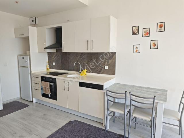 Düzce Merkez, Düzce içerisinde kiralık mülk