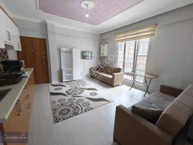 Düzce Merkez, Düzce içerisinde kiralık mülk