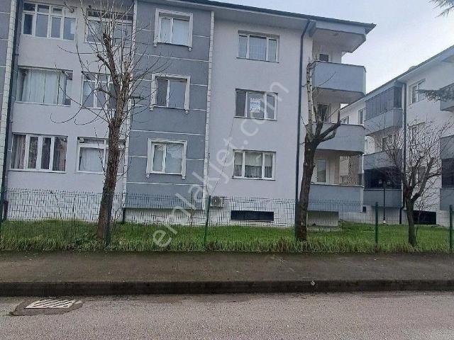 Düzce Merkez, Düzce içerisinde kiralık mülk