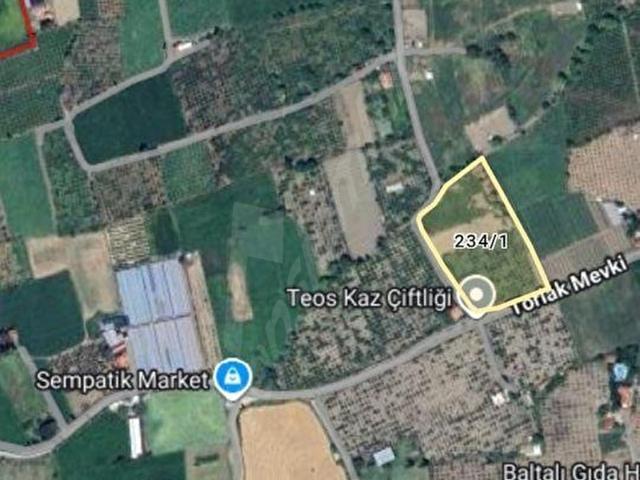 Düzce Mahallesi, Seferihisar içerisinde satılık mülk