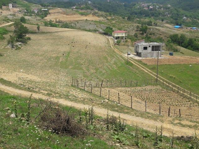 Düziçi, Osmaniye içerisinde satılık Arsa