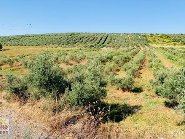 Düziçi, Osmaniye içerisinde satılık Arsa