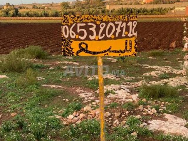 Propriété vente à Saf, L'Oriental