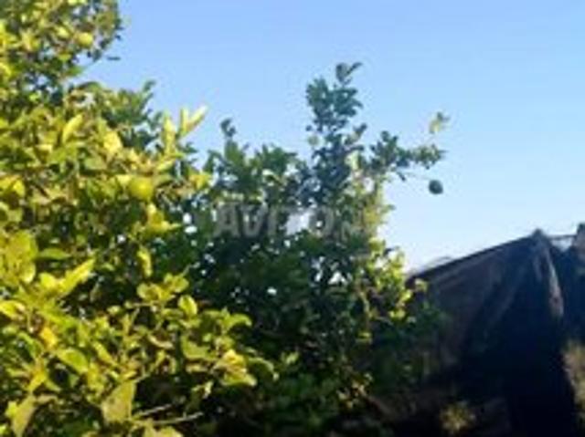 Propriété vente à Rissana Janoubia, Tanger-Tétouan