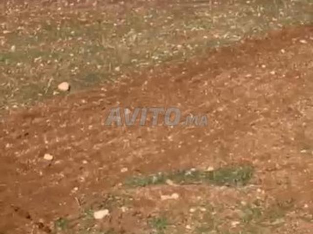 Propriété vente à Pachalik de Safi باشوية آسفي, Province de Safi إقليم أسفي