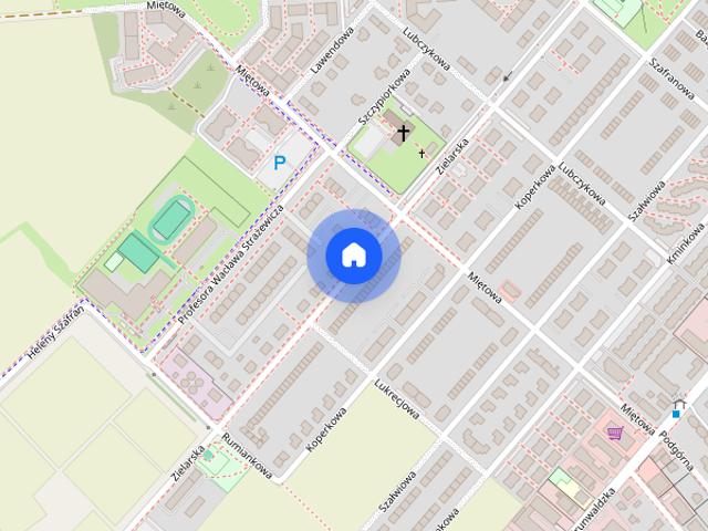 Mieszkanie do wynajęcia w Plewiska, Wielkopolskie