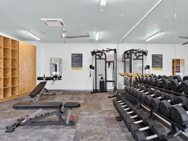 Apartment for rent in Tempe, Arizona