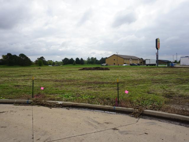 Land for sale in Dwight, Illinois