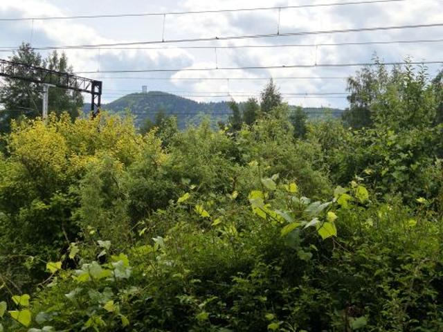 Mieszkanie na sprzedaż w Boguszów-gorce, Dolnośląskie