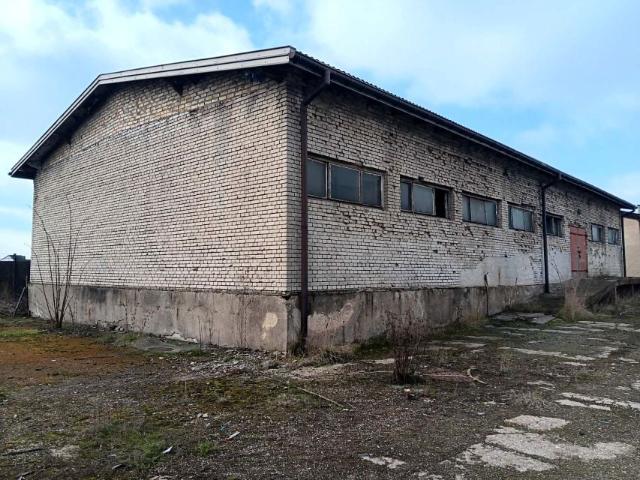 Mieszkanie do wynajęcia w Opoczno, Łódzkie