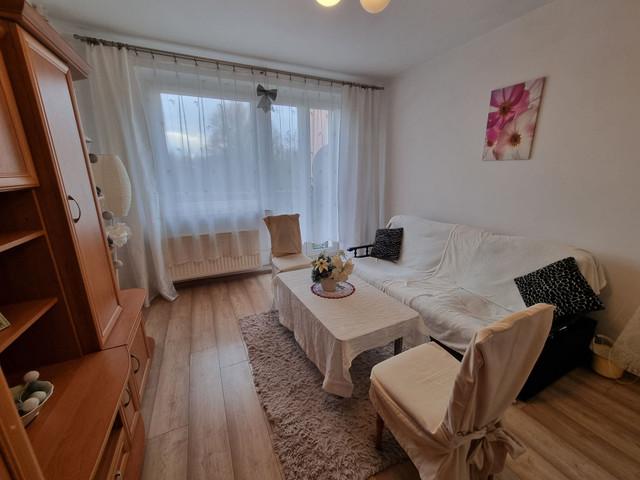 Mieszkanie do wynajęcia w Katowice, Śląskie