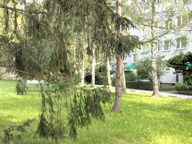Mieszkanie do wynajęcia w Wrocław, Dolnośląskie