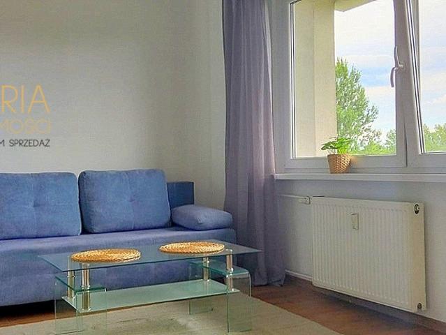Mieszkanie do wynajęcia w Katowice, Śląskie
