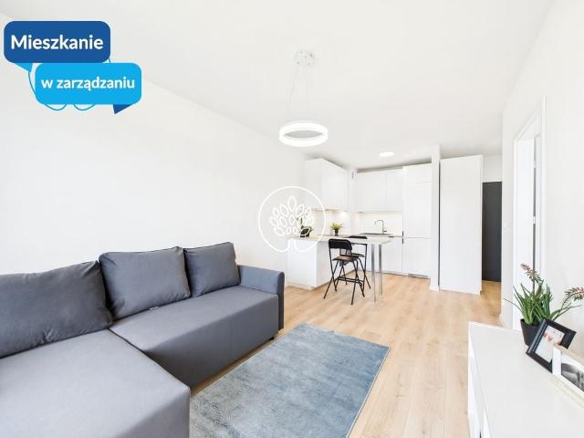 Mieszkanie do wynajęcia w Bydgoszcz, Kujawsko-pomorskie