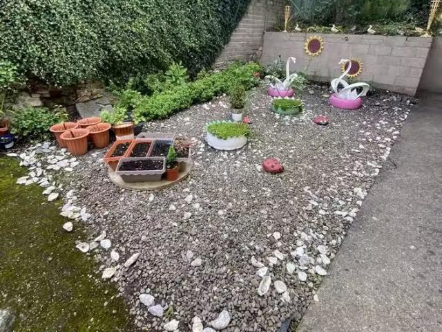 Apartment to rent