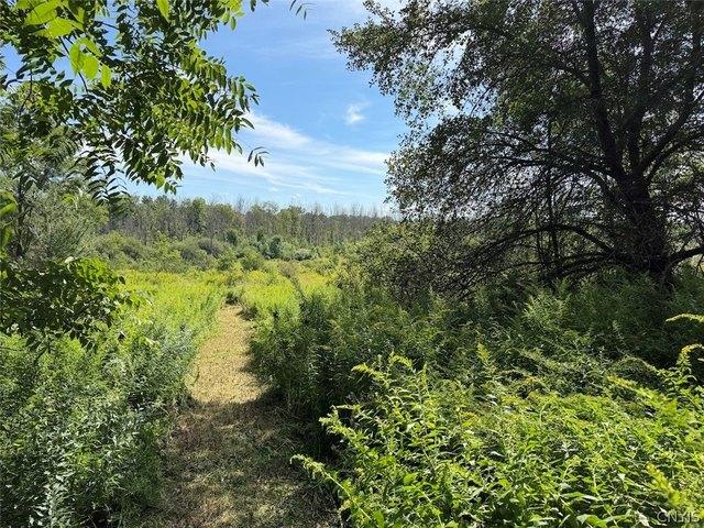 Land for sale in Dayton, New York