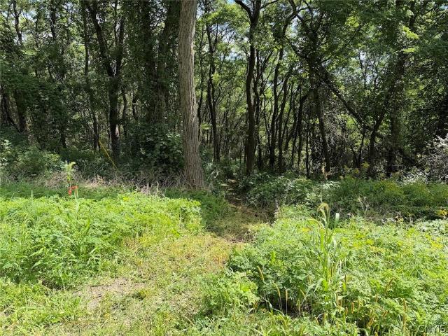 Land for sale in New York