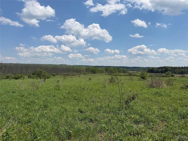 Land for sale in Dayton, New York