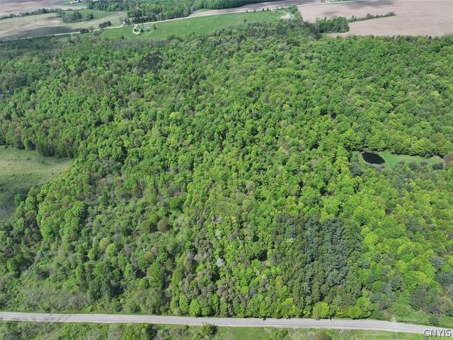 Land for sale in Dayton, New York