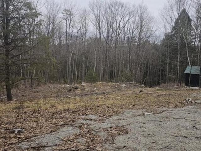 Land for sale in Lewiston
