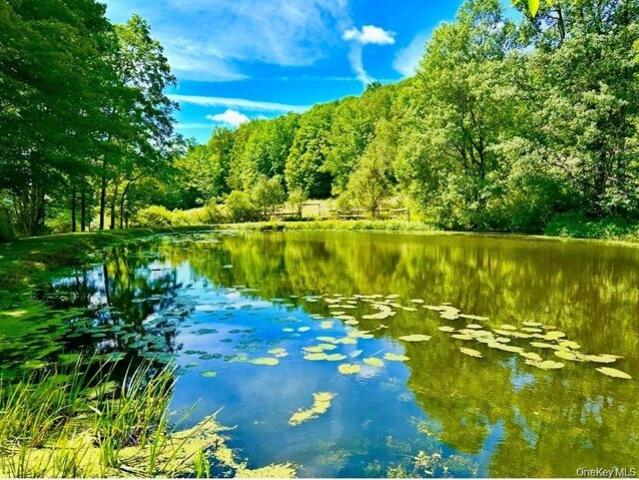 Land for sale in New York