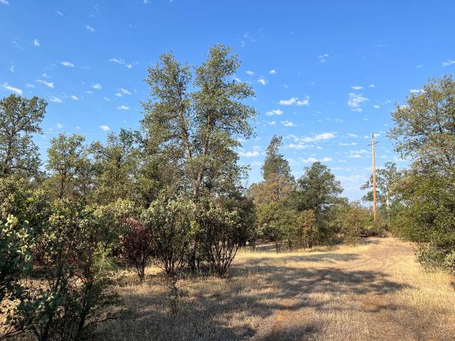 Land for sale in Shasta, California