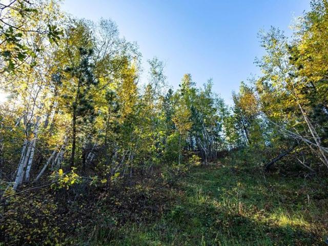 Land for sale in Lead, South Dakota