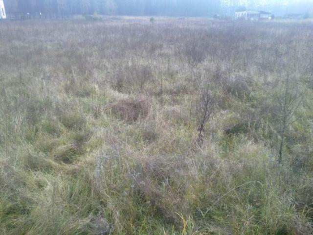 Grunt na sprzedaż w Szubin, Kujawsko-pomorskie