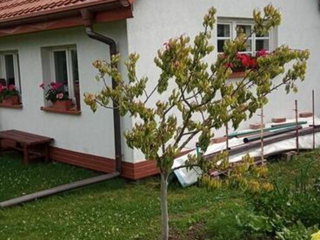 Grunt na sprzedaż w Słupsk, Pomorskie