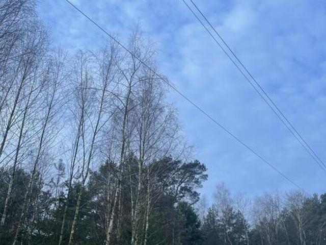 Grunt na sprzedaż w Dąbrówka, Mazowieckie