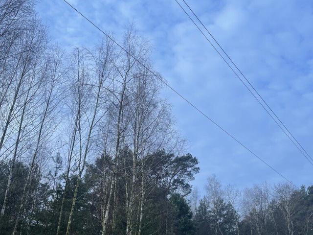 Grunt na sprzedaż w Ludwinów, Mazowieckie