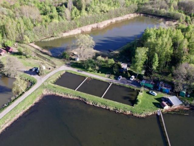 Grunt na sprzedaż w Bogatynia, Dolnośląskie