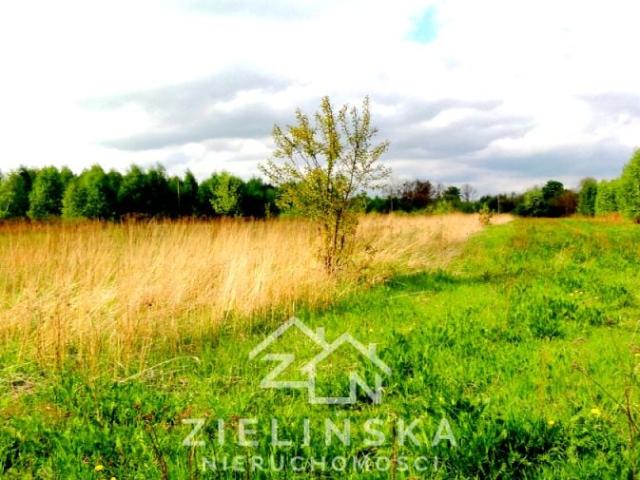 Grunt na sprzedaż w Naruszewo, Mazowieckie