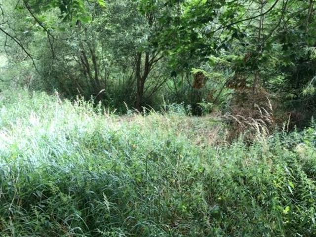 Grunt na sprzedaż w Choszczno, Zachodniopomorskie