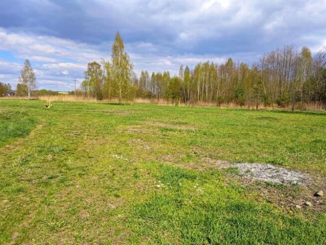 Grunt na sprzedaż w Żabia Wola, Mazowieckie