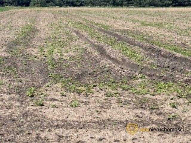 Grunt na sprzedaż w Grędzina, Dolnośląskie
