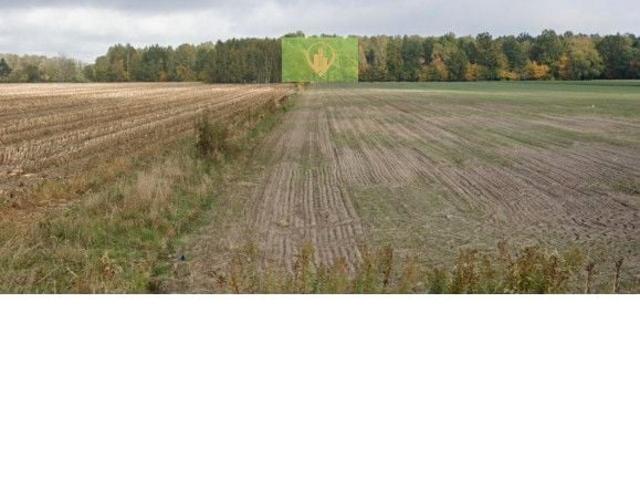 Grunt na sprzedaż w Królewiec, Mazowieckie