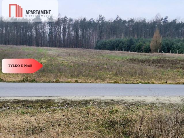 Grunt na sprzedaż w Rogowo, Kujawsko-pomorskie