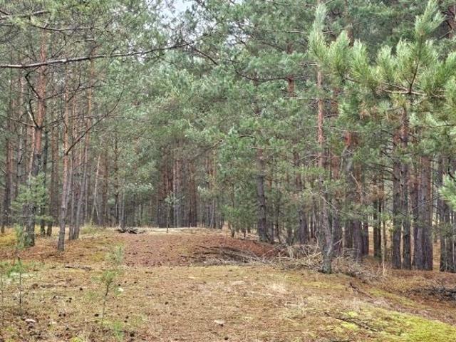 Grunt na sprzedaż w Dobrodzień, Opolskie