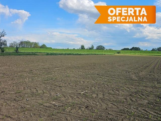 Grunt na sprzedaż w Kraków, Małopolskie