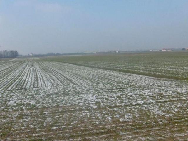 Grunt na sprzedaż w Toruń, Kujawsko-pomorskie