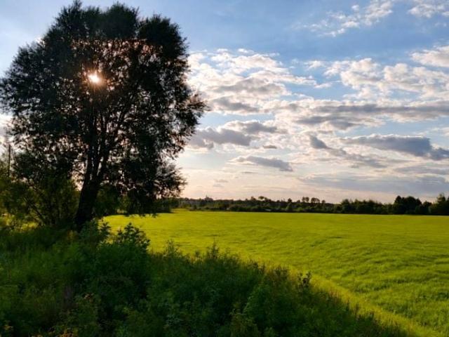 Grunt na sprzedaż w Skierniewice, Łódzkie