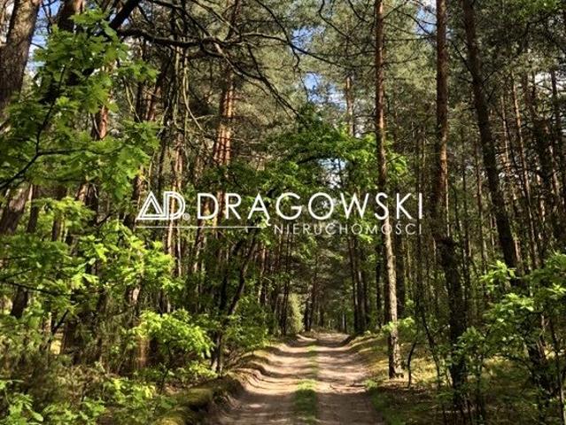 Grunt na sprzedaż w Wilga, powiat garwoliński