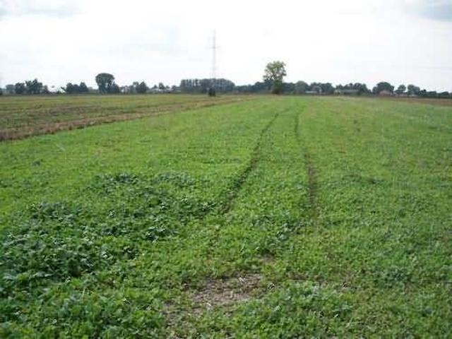 Grunt na sprzedaż w Gorzów Wielkopolski, Lubuskie