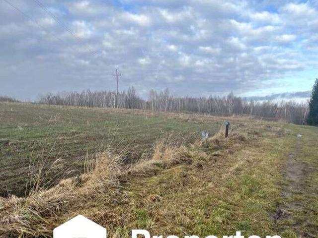 Grunt na sprzedaż w Rzeczyca, Lubelskie