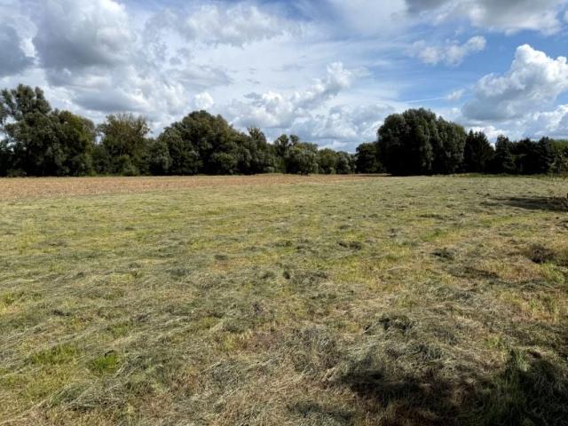 Grunt na sprzedaż w Solec Kujawski, Kujawsko-pomorskie