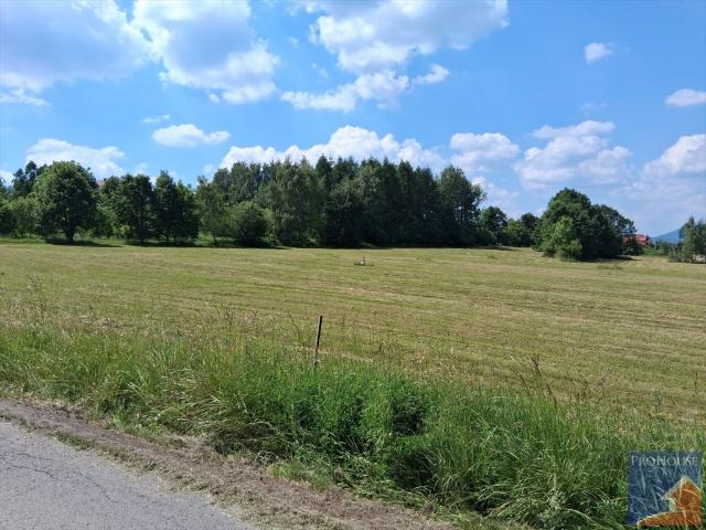 Grunt na sprzedaż w Polówka, Limanowa
