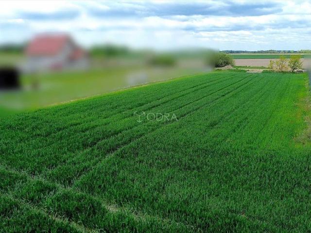 Grunt na sprzedaż w Jelcz-laskowice, Dolnośląskie
